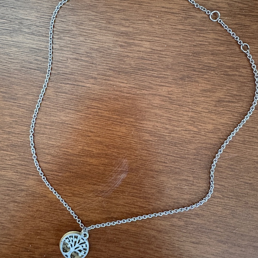 ROOTED Premier Designs Necklace